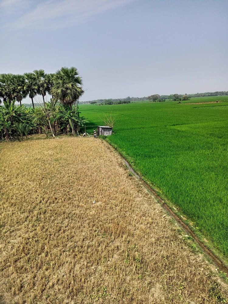 Agricultural land for sale